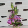 hoa cam tay 60.jpg
